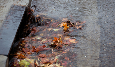 Plumber Diamond Creek
