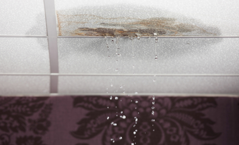 Plumber Diamond Creek